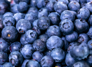 9 ‘Superfoods’ Every Senior Citizen Should Include in Their Diet