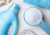 The Ultimate Guide to Using Laundry Detergent to Eliminate Pests