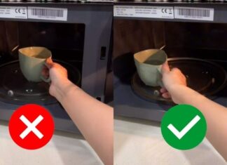 “The Ultimate Guide to Reheating Food: Mastering the Microwave”