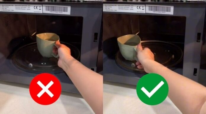 “The Ultimate Guide to Reheating Food: Mastering the Microwave”