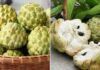 Who Should Avoid Eating Custard Apples?