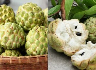 Who Should Avoid Eating Custard Apples?