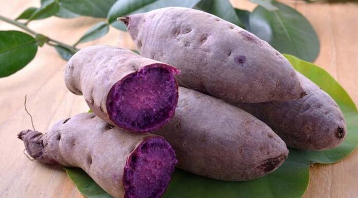 What Are the Benefits of Sweet Potatoes? Delicious Recipes to Try.