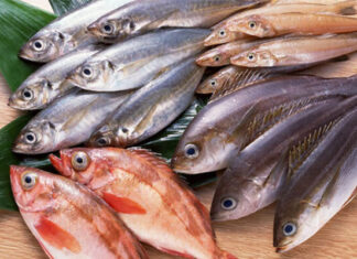 Is Eating More Seafood Good for Your Health?