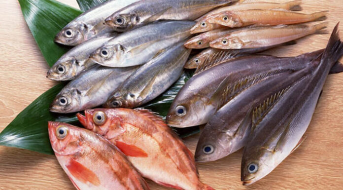 Is Eating More Seafood Good for Your Health?