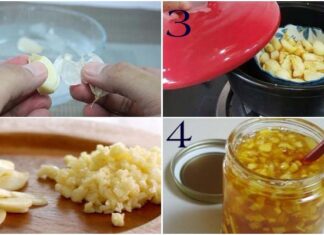 The Magic Elixir: Garlic Honey Remedy for Coughs