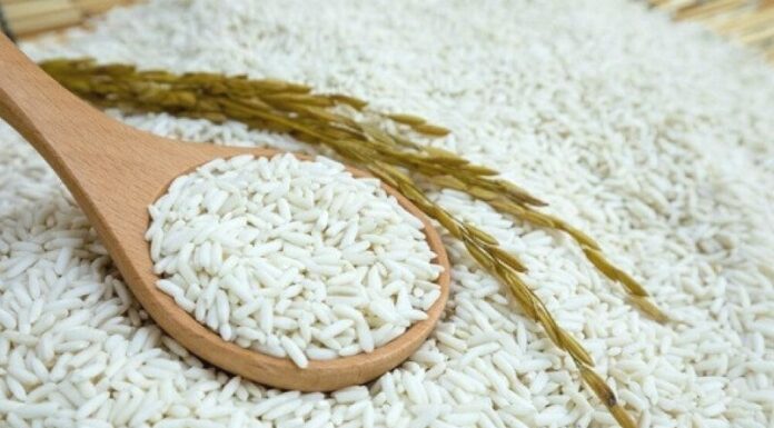 What to Avoid Eating After Ear Piercing? How Long Does It Take to Heal?