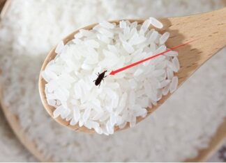 The Ultimate Guide to Pest-Free Rice: A Kitchen Essential.