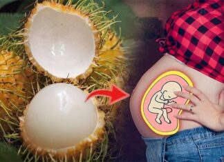 Is Eating Rambutan Safe During Pregnancy? Double the Nutrition, Double the Benefits.