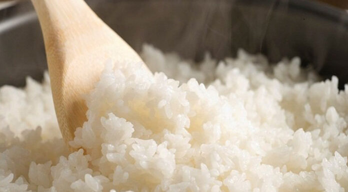 The Ultimate Guide to Food Preservation: Maximizing Freshness in Your Fridge