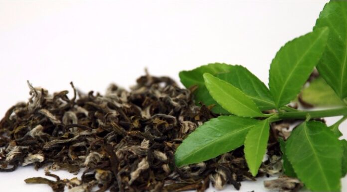 The Ultimate Guide to Caring for Your Non-Stick Pans