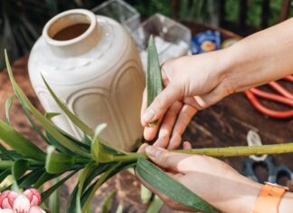 The Secret to Long-Lasting Fresh Flower Arrangements: Pro Tips to Keep Your Blooms Vibrant for Up to a Week