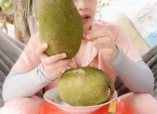 The Ultimate Guide to Sourcing the Finest Tree-Ripened Mangos: Discovering Nature’s Golden Delights