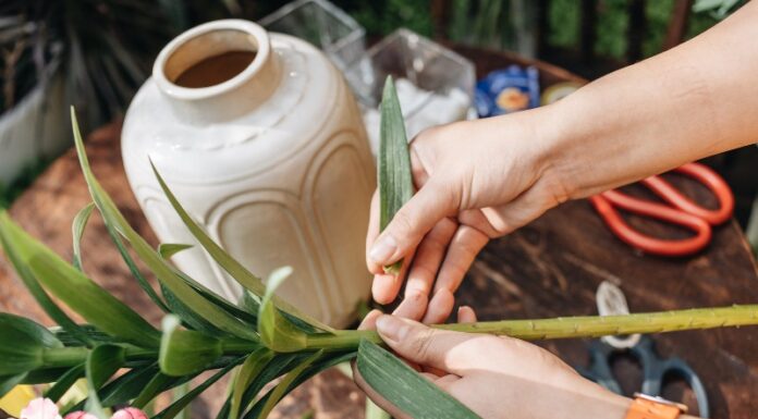 The Secret to Long-Lasting Fresh Flower Arrangements: Pro Tips to Keep Your Blooms Vibrant for Up to a Week