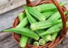The Ultimate Guide to Selecting and Storing Okra for Maximum Freshness