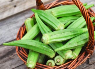 The Ultimate Guide to Selecting and Storing Okra for Maximum Freshness