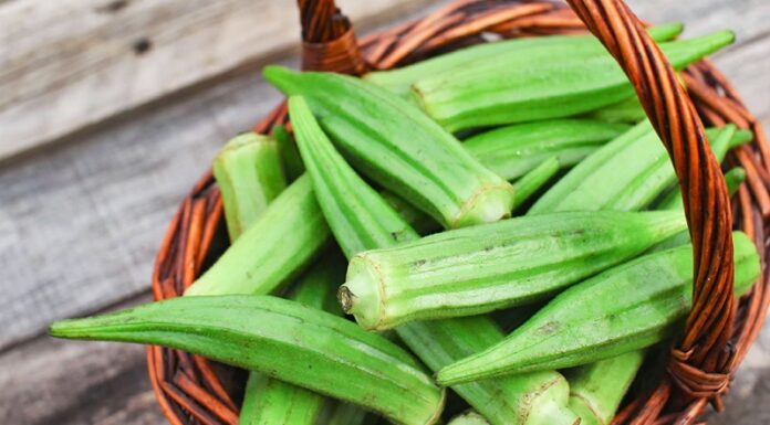 The Ultimate Guide to Selecting and Storing Okra for Maximum Freshness