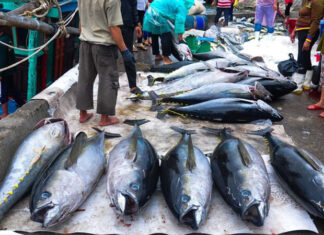 What is the Delicacy That ‘Hunchback Cow’ Refers To in Phu Yen?