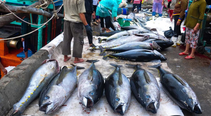 What is the Delicacy That ‘Hunchback Cow’ Refers To in Phu Yen?