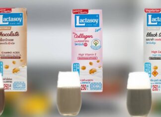 Nourish Your Body with Lactasoy Soy Milk