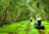 The Ultimate Travel Guide: Uncover the Top 3 U Minh Thuong (Kien Giang) Destinations