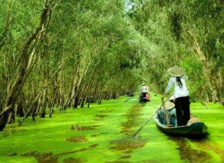 The Ultimate Travel Guide: Uncover the Top 3 U Minh Thuong (Kien Giang) Destinations