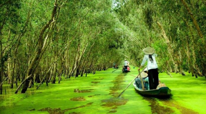 The Ultimate Travel Guide: Uncover the Top 3 U Minh Thuong (Kien Giang) Destinations