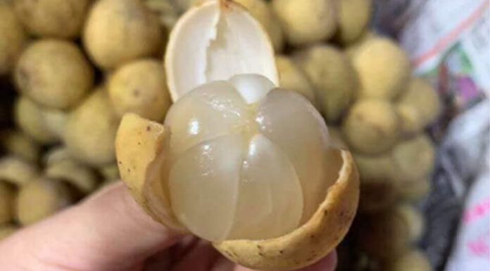 The Ultimate Guide to Peeling Bon Bon: Tips and Tricks for a Mess-Free, Delicious Treat