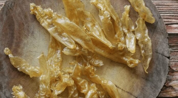 What are Fish Bladders? Benefits and Delicious Dishes Made From Fish Bladders.