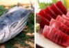 4 Types of Super-Healthy Fish: Don’t Hesitate to Buy When You See Them at the Market