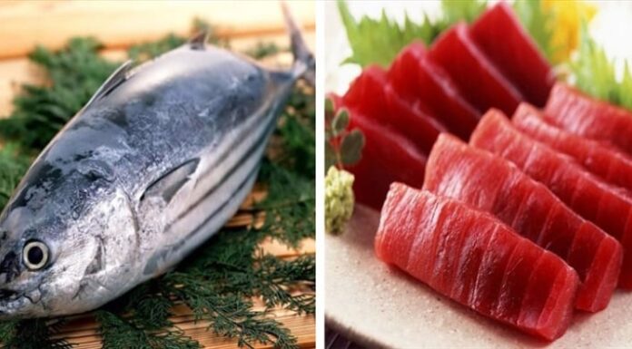 4 Types of Super-Healthy Fish: Don’t Hesitate to Buy When You See Them at the Market