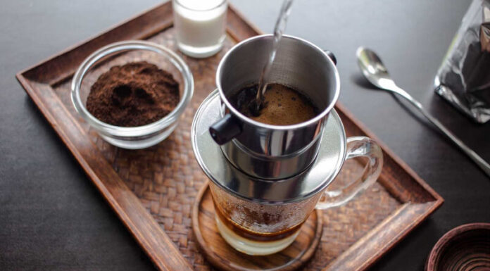 The Most Popular Coffee Plant Varieties in Vietnam