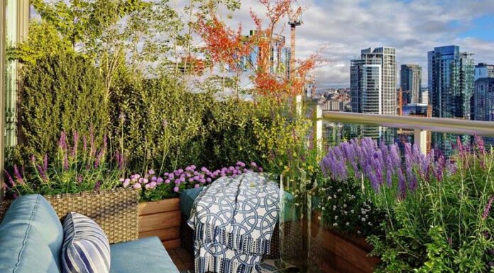 The Ultimate Guide to East-Facing Balcony Plants: Beautifying Your Space with Ease