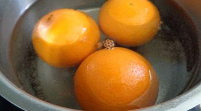 “The Ultimate Guide to Storing Fresh Oranges: Easy Tips to Extend Their Shelf Life”