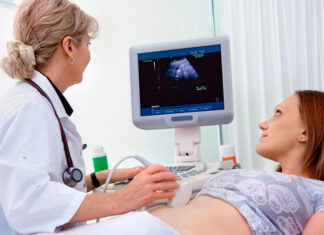 The Ultimate Pregnancy Handbook: Nurturing a Healthy Mom and Baby Through Key Developmental Stages