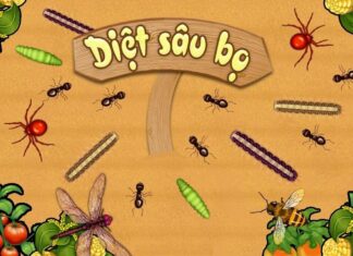 The Summer Solstice Festival: Exploring Vietnamese Traditions