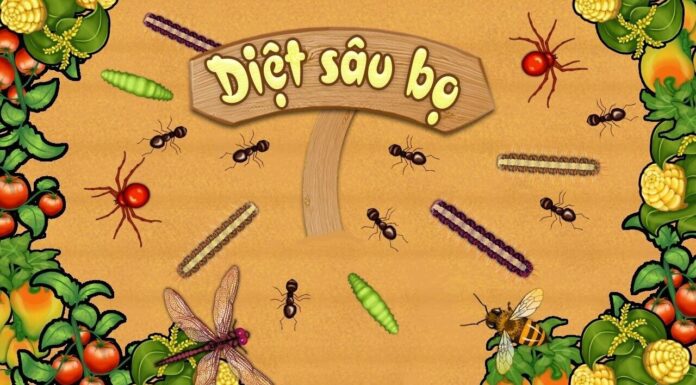 The Summer Solstice Festival: Exploring Vietnamese Traditions