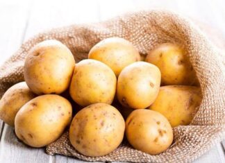 The Ultimate Guide to Potato Storage: Keep Them Sprout-Free for Longer