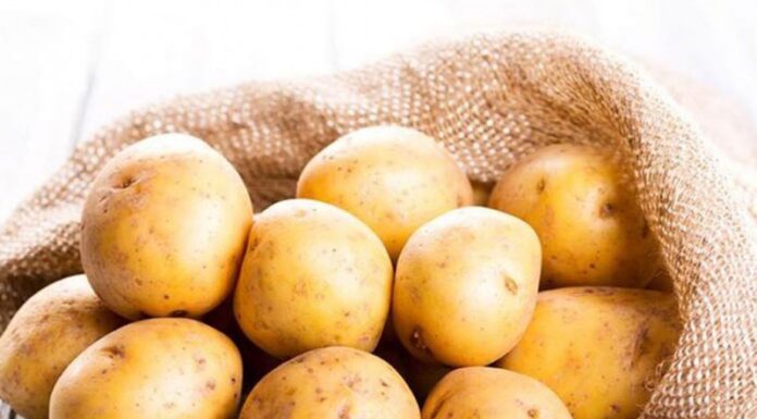The Ultimate Guide to Potato Storage: Keep Them Sprout-Free for Longer