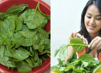 “The Secret to Cooking Okra: A Slime-Free Delight”