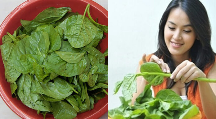 “The Secret to Cooking Okra: A Slime-Free Delight”