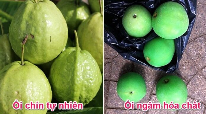 How to Choose a Delicious Guava Free of Harmful Chemicals