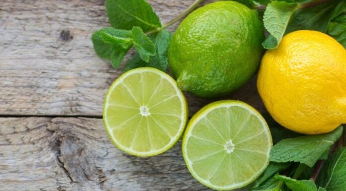 The Ultimate Guide to Choosing Juicy Lemons and Keeping Them Fresh