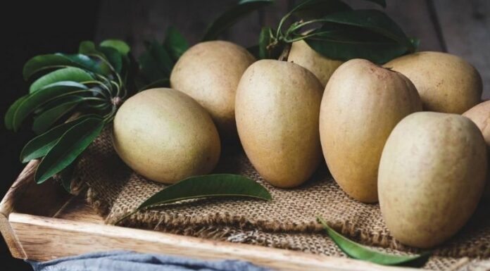 “The Ultimate Guide to Choosing the Perfect Sapoche: A Tasty Treat”