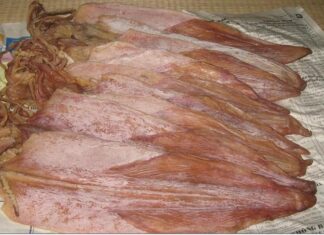 The Ultimate Guide to Selecting the Finest Dried Squid: A Tasty and Safe Treat