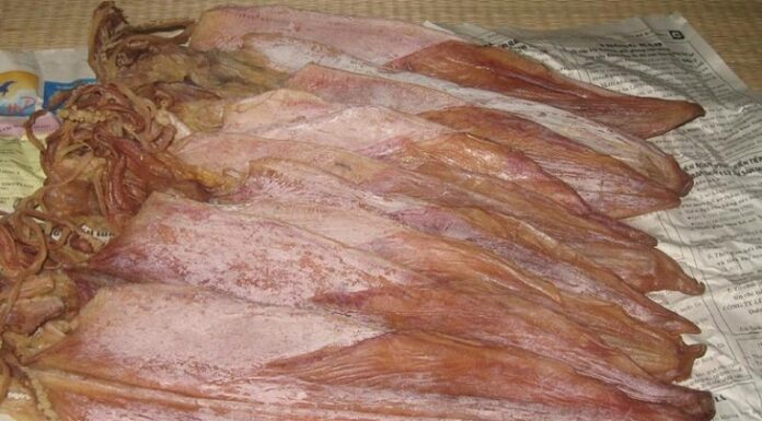 The Ultimate Guide to Selecting the Finest Dried Squid: A Tasty and Safe Treat