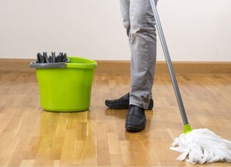 The Magic of Eucalyptus: A Natural Way to Clean and Fragrance Your Home