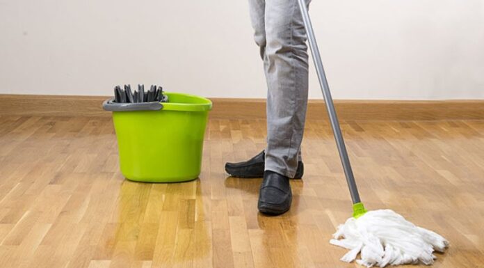 The Magic of Eucalyptus: A Natural Way to Clean and Fragrance Your Home