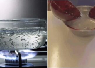 How to Keep Strawberries Fresh for a Week