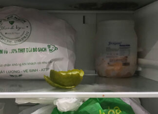 “A Whiff of Freshness: Revitalizing Your Fridge with Budget-Friendly, Household Ingredients”